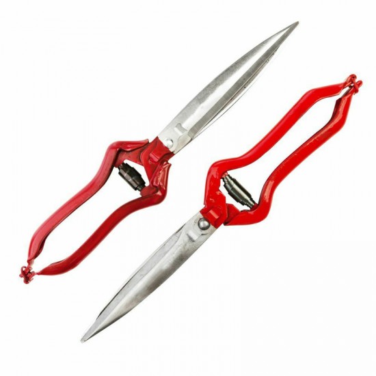 Ψαλίδι Προβάτου AMD109-01 04375