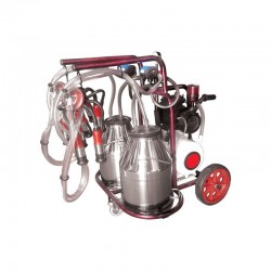 ΑΜΕΛΚΤΙΚΗ ΚΙΝΗΤΗ 2 ΑΓΕΛΑΔΩΝ 1ΗΡ ΕΩΣ 12 ΑΤΟΚΕΣ ΔΟΣΕΙΣ