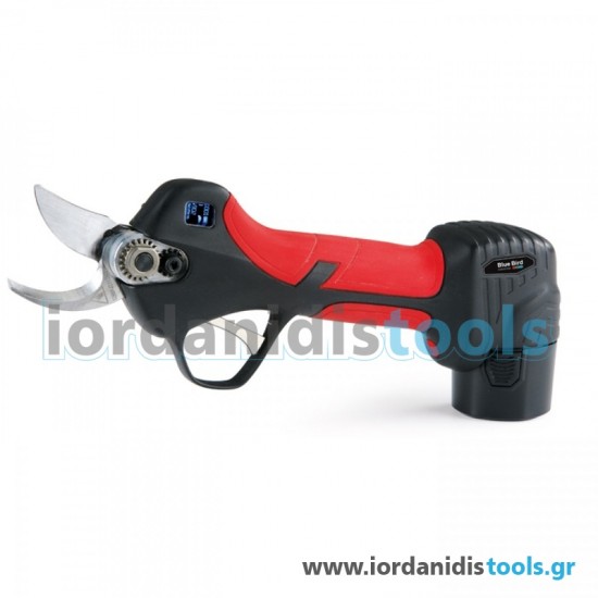 Blue Bird ΚΙΤ PS22-23 ψαλίδι + BLUE BIRD CS22-04 Αλυσοπρίονο Blue Bird ΚΙΤ PS22-23 ψαλίδι + BLUE BIRD CS22-04 Αλυσοπρίονο