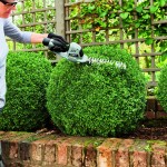 EGO CHT2001E Ψαλίδι θάμνων και χλόης Σετ με μπαταρία 2Ah 025-017