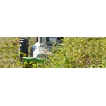 ETESIA Attila AK60 Αυτοκινούμενος καταστροφέας αγριόχορτων 3.3kW 60cm εως 24 ΑΤΟΚΕΣ ΔΟΣΕΙΣ ETESIA Attila AK60 Αυτοκινούμενος καταστροφέας αγριόχορτων 3.3kW 60cm εως 24 ΑΤΟΚΕΣ ΔΟΣΕΙΣ