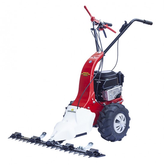 EUROSYSTEMS M 210 Χορτοκοπτικό μπάρας με κινητήρα Honda GCV160 με όπισθεν αυτοκινούμενο έως 12 ΑΤΟΚΕΣ ΔΟΣΕΙΣ EUROSYSTEMS M 210 Χορτοκοπτικό μπάρας με κινητήρα Honda GCV160 με όπισθεν αυτοκινούμενο έως 12 ΑΤΟΚΕΣ ΔΟΣΕΙΣ