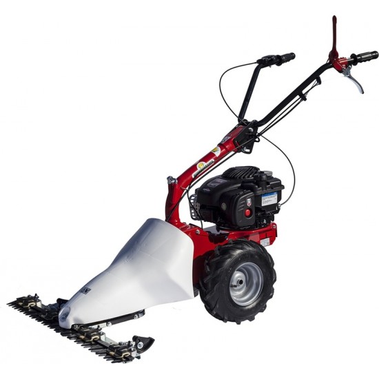 EUROSYSTEMS M210 B&S Χορτοκοπτικό με λόγχες ΔΙΠΛΗΣ ΚΟΠΗΣ 75C06 εως 12 ΑΤΟΚΕΣ ΔΟΣΕΙΣ