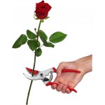 FELCO 4C&H Ψαλίδι κλαδέματος