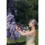 FELCO 160L Ψαλίδι κλαδέματος