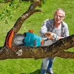 GARDENA Τηλεσκοπικό Κονταροπρίονο Μπαταρίας TCS LI-18/2-1 εως 12 ΑΤΟΚΕΣ ΔΟΣΕΙΣ