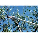 LISAM Κονταροπρίονo 20cm 1/4 1.5ΜΤ στενή λάμα SKY, 9028/1 εως 12 ΑΤΟΚΕΣ ΔΟΣΕΙΣ