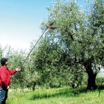 LISAM Ραβδιστικό αέρος - Λανάρα V8 CARBON, 9390 εως 12 ΑΤΟΚΕΣ ΔΟΣΕΙΣ
