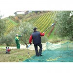 LISAM Ραβδιστικό - Λανάρα 12V μπαταρίας 2,00 Μέτρ. OLIWATT 2, 9075F εως 24 ΑΤΟΚΕΣ ΔΟΣΕΙΣ LISAM Ραβδιστικό - Λανάρα 12V μπαταρίας 2,00 Μέτρ. OLIWATT 2, 9075F εως 24 ΑΤΟΚΕΣ ΔΟΣΕΙΣ