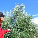 LISAM Ραβδιστικό - Λανάρα 12V μπαταρίας 2.0-3.4 μετρ. OLIVECO, 9078 εως 24 ΑΤΟΚΕΣ ΔΟΣΕΙΣ