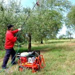 LISAM Αεροσυμπιεστής LM 300/10 με Honda 5,5Hp, 9106 εως 12 ΑΤΟΚΕΣ ΔΟΣΕΙΣ