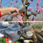 LISAM Ψαλίδι Κλαδέματος Μπαταρίας BLADE GT εως 24 ΑΤΟΚΕΣ ΔΟΣΕΙΣ LISAM Ψαλίδι Κλαδέματος Μπαταρίας BLADE GT εως 24 ΑΤΟΚΕΣ ΔΟΣΕΙΣ