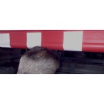 Γωνία από αφρώδες μαλακό υλικό PARK-DH-VCG3 YELLOW Γωνία από αφρώδες μαλακό υλικό PARK-DH-VCG3 YELLOW