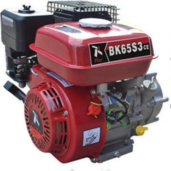 PLUS BK16SE-3 Κινητήρας βενζίνης τετράχρονος με μειωτήρα 1800 στροφών με μίζα 440cc 16hp με σφήνα 201.124 εως 12 ΑΤΟΚΕΣ ΔΟΣΕΙΣ