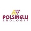 POLSINELLI