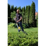 TEXAS PHZ5800 Μπορντουροψάλιδο μπαταρίας 58V 52cm εως 6 ΑΤΟΚΕΣ ΔΟΣΕΙΣ TEXAS PHZ5800 Μπορντουροψάλιδο μπαταρίας 58V 52cm εως 6 ΑΤΟΚΕΣ ΔΟΣΕΙΣ