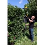 TEXAS PHZ5800 Μπορντουροψάλιδο μπαταρίας 58V 52cm εως 6 ΑΤΟΚΕΣ ΔΟΣΕΙΣ TEXAS PHZ5800 Μπορντουροψάλιδο μπαταρίας 58V 52cm εως 6 ΑΤΟΚΕΣ ΔΟΣΕΙΣ